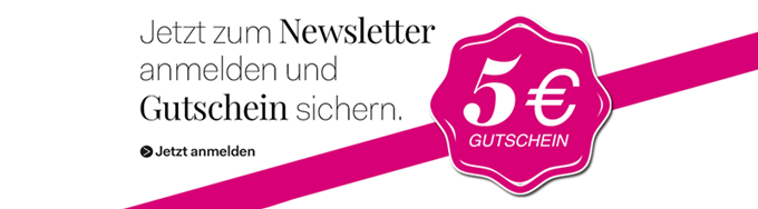 Newsletter_Anemldung big