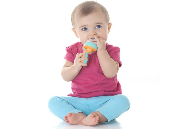 nuby fruchtsauger