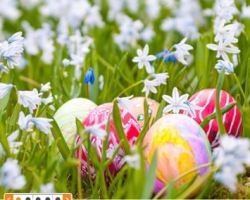 Sportscheck: tolle Ostern Aktionen!